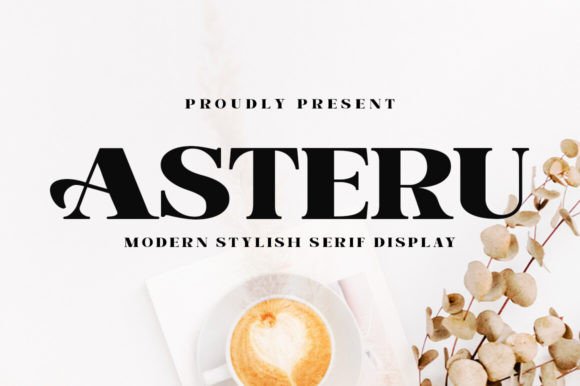 Asteru: A Beautiful Serif Font for Handmade Business Branding and Product Design