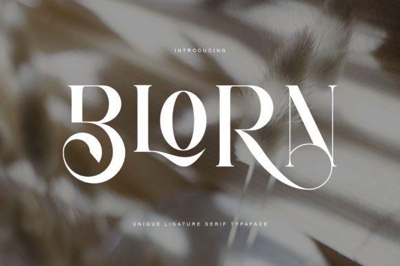 Blorn: A Serif Typeface for Elegant Editorial Design